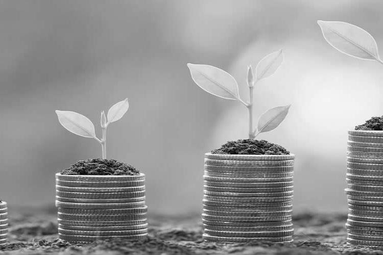 Economic Planning and Development